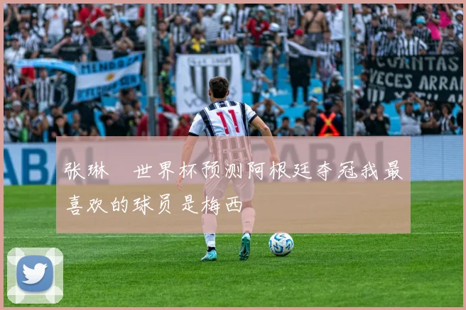 张琳芃世界杯预测阿根廷夺冠我最喜欢的球员是梅西