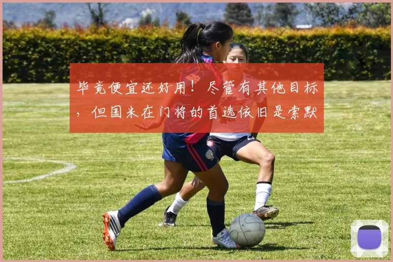 毕竟便宜还好用！尽管有其他目标，但国米在门将的首选依旧是索默