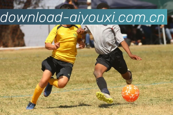 爱游戏体育发展历程